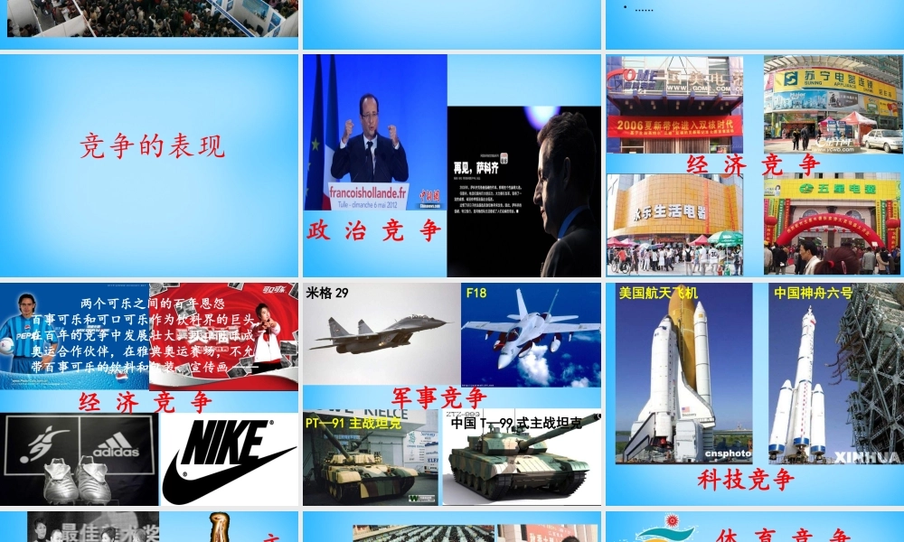 中学七年级政治下册 第9课 生命的林子课件 人民版 课件