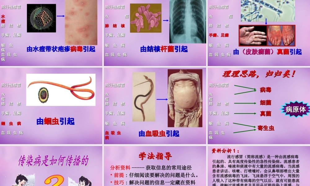 八年级生物下册 第八单元 第一章(第一节 传染病及其预防)课件 新人教版 课件