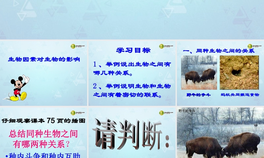 八年级生物下册 第七单元 第一章(生物因素对生物的影响)课件 冀教版 课件
