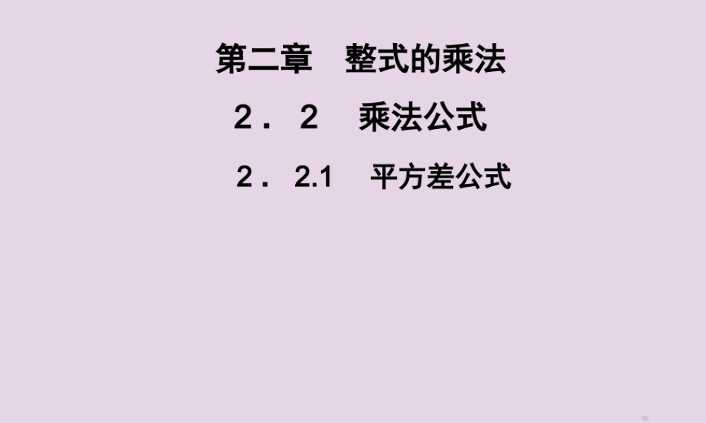 七年级数学下册 第2章(整式的乘法)2.2 乘法公式 2.2.1 平方差公式习题课件 (新版)湘教版 课件