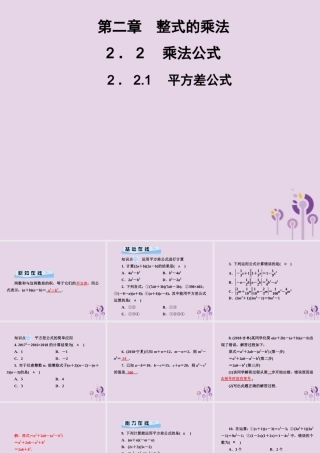 七年级数学下册 第2章(整式的乘法)2.2 乘法公式 2.2.1 平方差公式习题课件 (新版)湘教版 课件