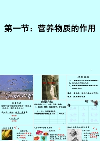 七年级生物上：第3章第2节 营养物质的作用 课件苏科版 课件