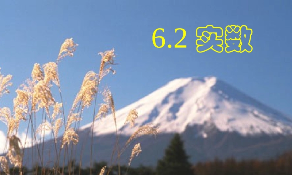 七年级数学下册 6.2实数课件 沪科版 课件