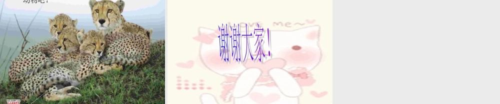 动物是人类pin的好朋友