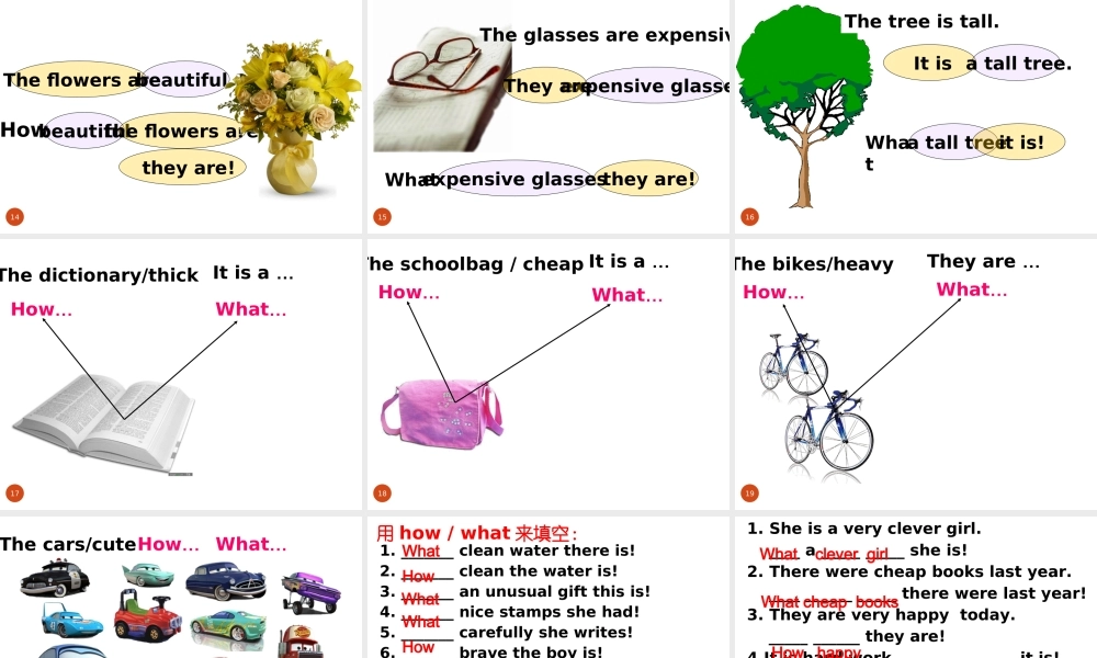 七年级英语上学期看听学51-52课课件
