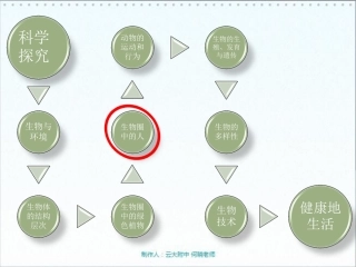 七年级生物下册 青春期课件(pdf) 新人教版 课件