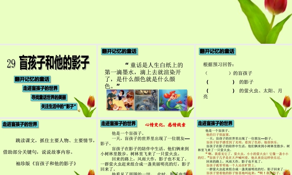 七年级语文上册 (盲孩子和他的影子)课件 人教新课标版 课件