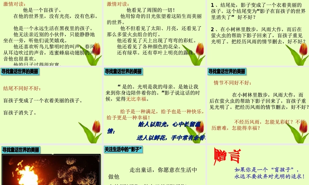 七年级语文上册 (盲孩子和他的影子)课件 人教新课标版 课件