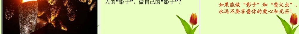 七年级语文上册 (盲孩子和他的影子)课件 人教新课标版 课件