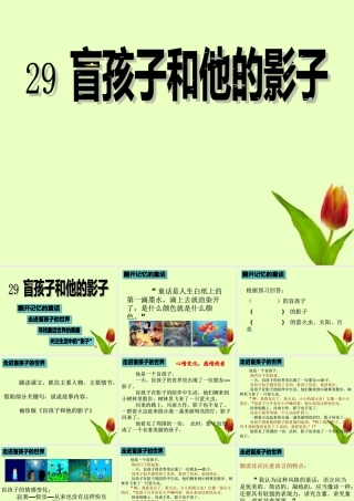 七年级语文上册 (盲孩子和他的影子)课件 人教新课标版 课件