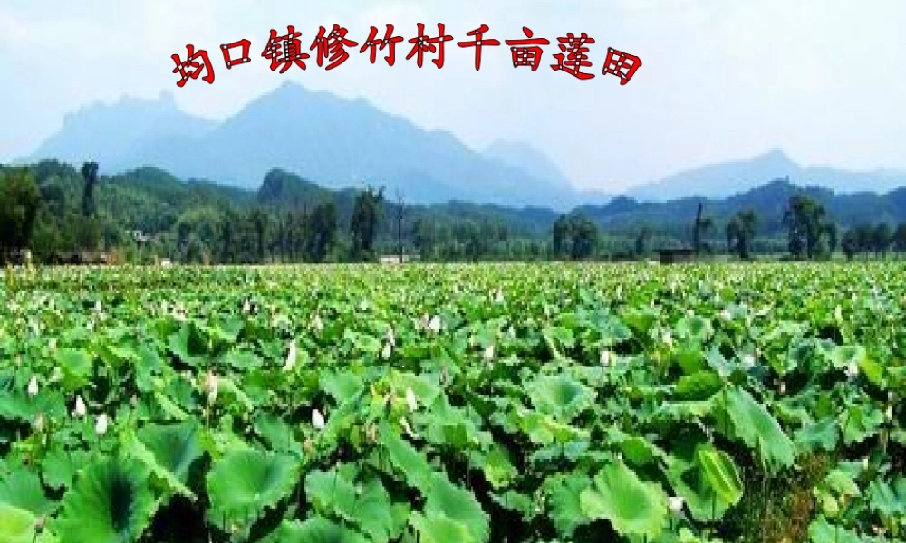 八年级语文上册 22(短文两篇)爱莲说课件 (新版)新人教版 课件