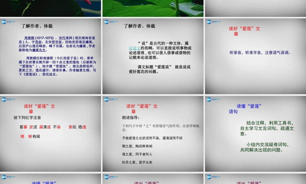 八年级语文上册 22(短文两篇)爱莲说课件 (新版)新人教版 课件