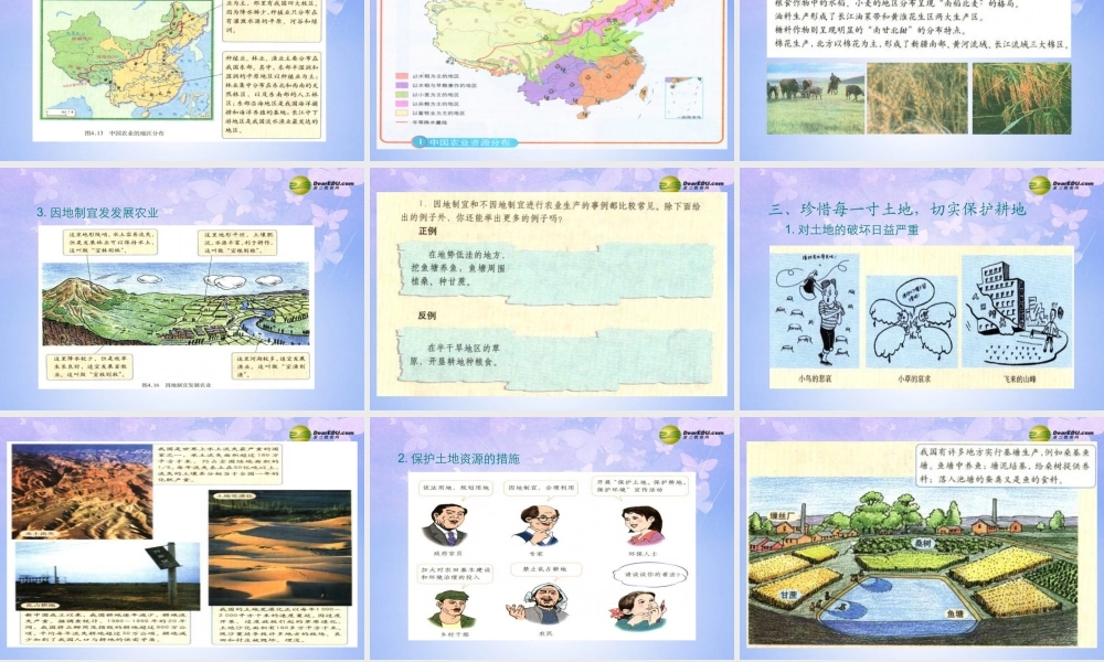 八年级地理上册 第三章 第二节 土地资源(第2课时)课件 新人教版 课件