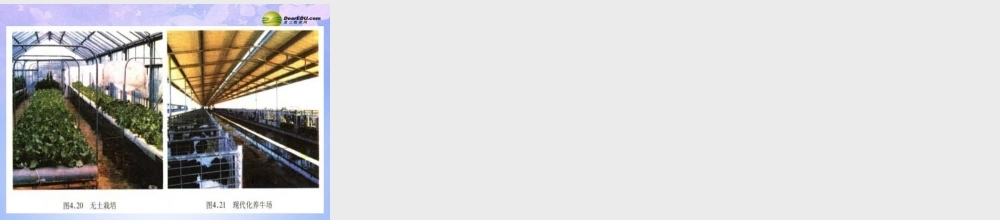 八年级地理上册 第三章 第二节 土地资源(第2课时)课件 新人教版 课件