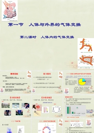 七年级生物下册 3.2.1 人体与外界的气体交换课件(2)(新版)济南版 课件