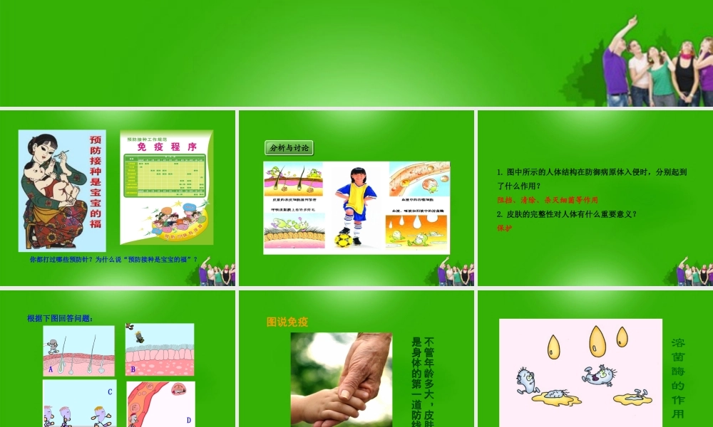 七年级生物下册 人体的免疫功能课件 济南版 课件