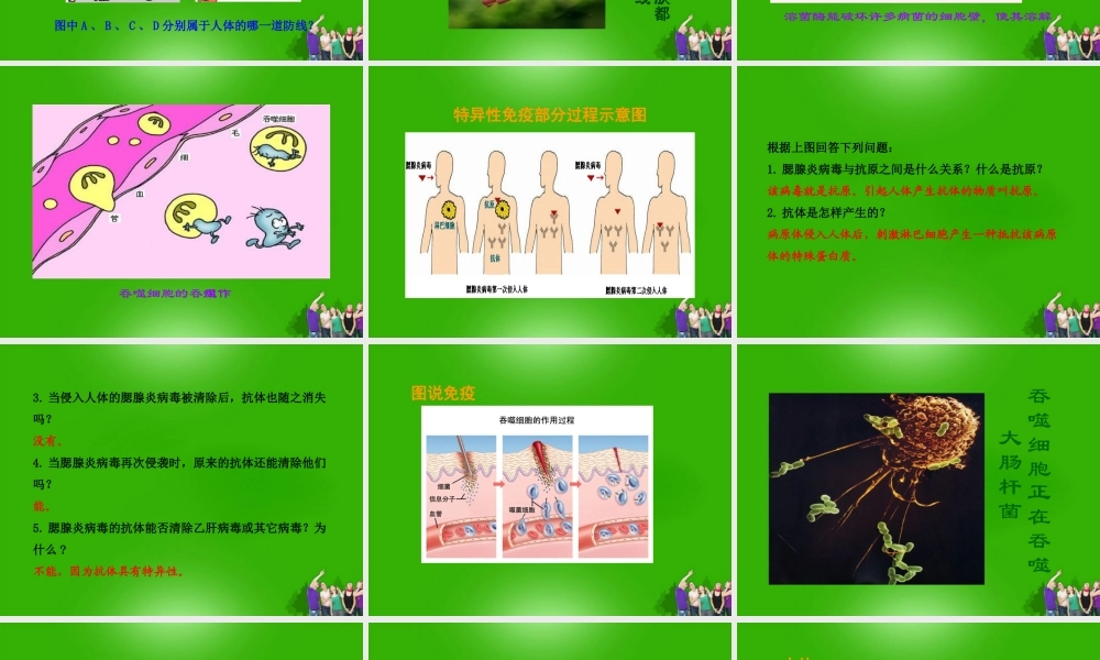 七年级生物下册 人体的免疫功能课件 济南版 课件