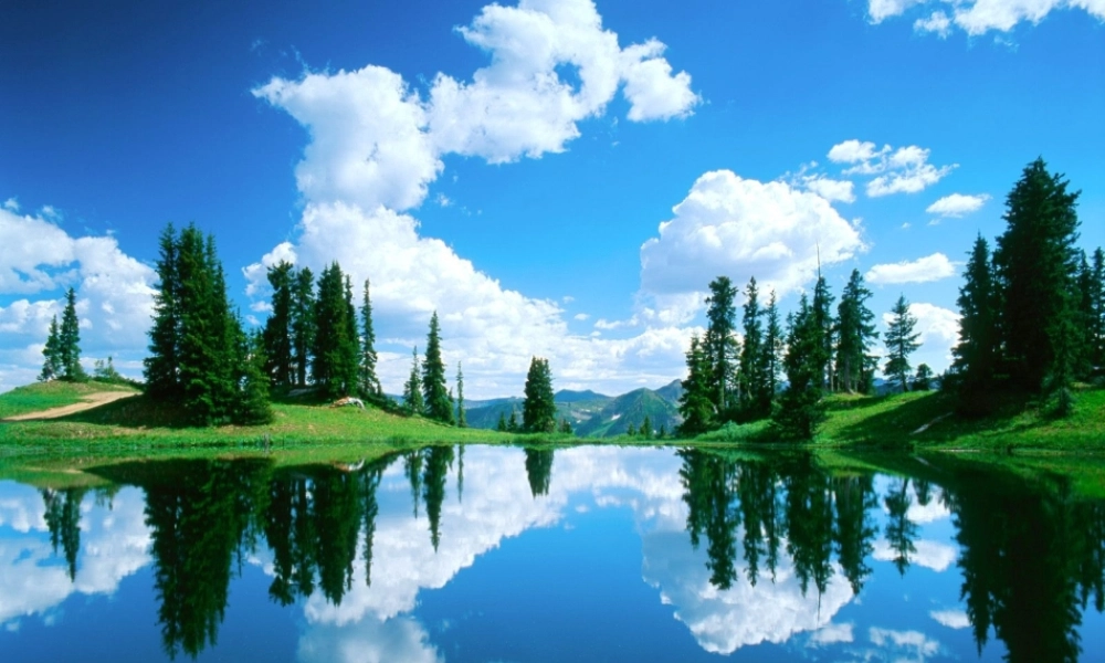 八年级数学上册(轴对称与轴对称图形)复习课课件 苏科版 课件