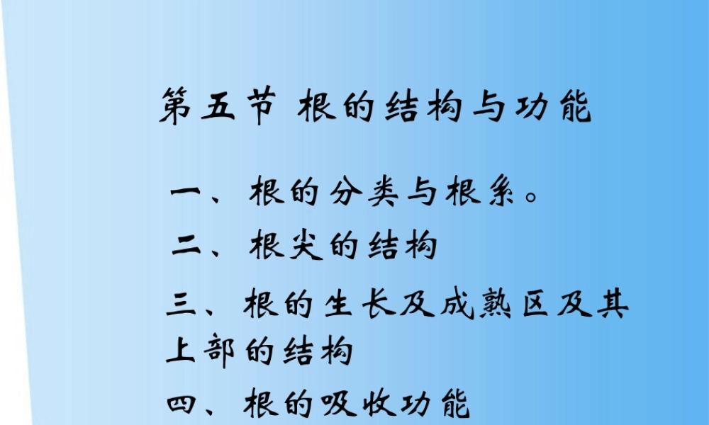 八年级生物上册 1.5根的结构与功能课件 济南版 课件
