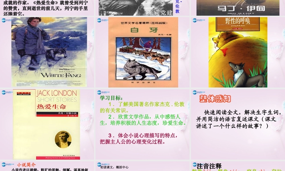 九年级语文下册 8(热爱生命)课件2 新人教版 课件