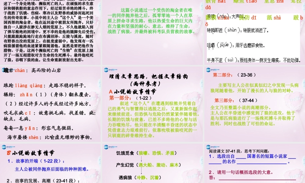 九年级语文下册 8(热爱生命)课件2 新人教版 课件