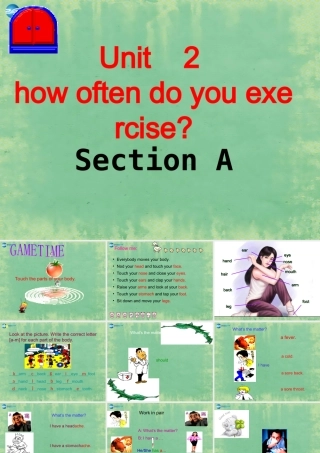 八年级英语上册 Unit 2 How often do you exercise？Section A2课件 (新版)人教新目标版 课件