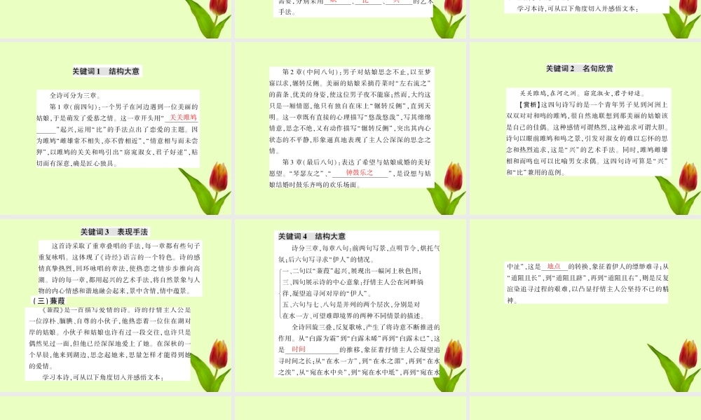 九年级语文下册 第六单元第24课(诗经两首)课件 人教新课标版 课件