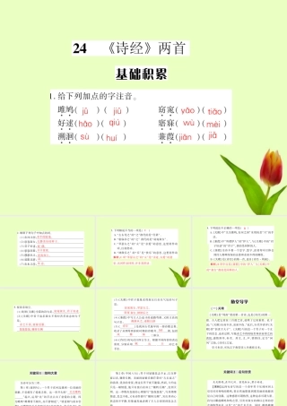 九年级语文下册 第六单元第24课(诗经两首)课件 人教新课标版 课件