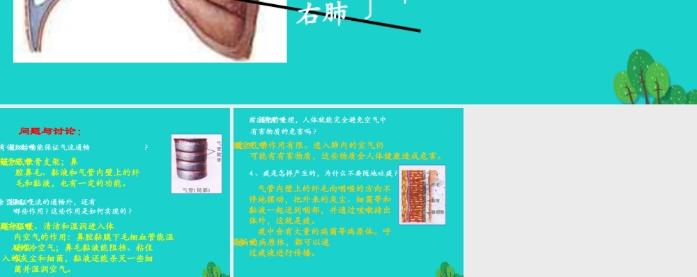 七年级生物下册 第四单元 第二章 第一节 呼吸道对空气的处理 呼吸系统的组成及功能课件 (新版)新人教版 课件