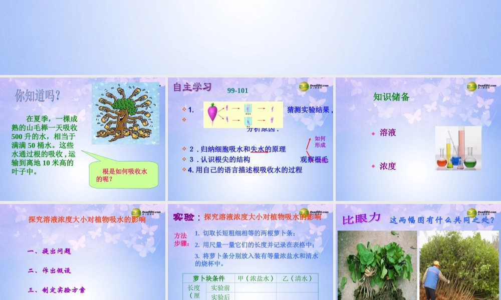 七年级生物上册 第五章 第三节 植物对水分和无机盐的吸收课件 苏教版 课件