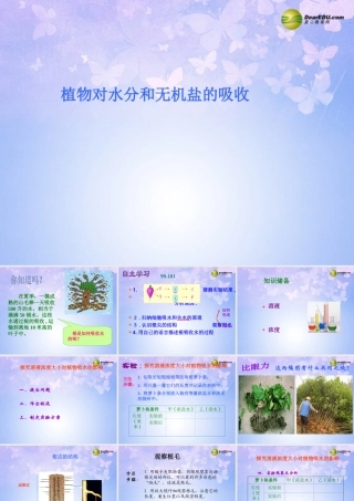 七年级生物上册 第五章 第三节 植物对水分和无机盐的吸收课件 苏教版 课件