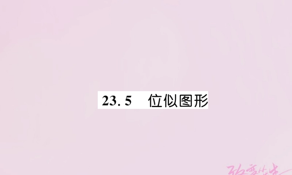 九年级数学上册 第23章 图形的相似 235 位似图形练习课件 (新版)华东师大版 课件