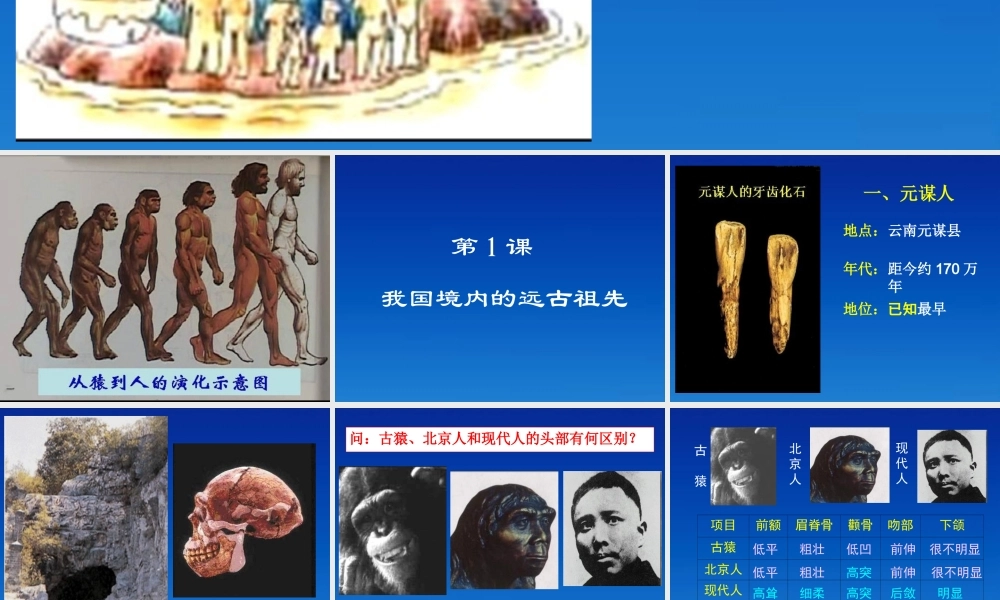 中学七年级历史上册(第1课 我国境内的远古祖先)课件 人教新课标版 课件