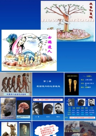 中学七年级历史上册(第1课 我国境内的远古祖先)课件 人教新课标版 课件