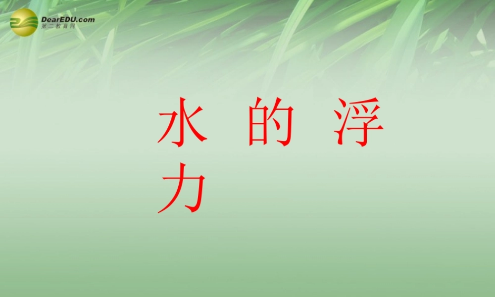 八年级科学上册(1.3 水的浮力)水的浮力课件 浙教版 课件