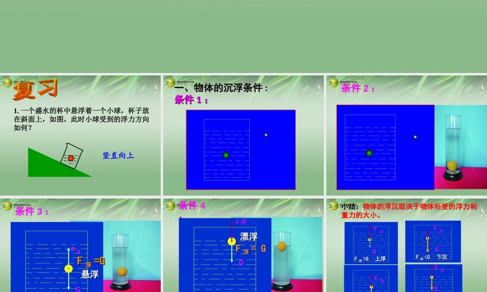 八年级科学上册(1.3 水的浮力)水的浮力课件 浙教版 课件