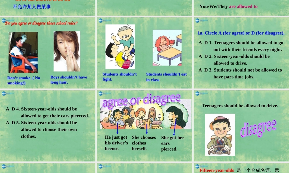 九年级英语全册 Unit 3 Teenagers should be allowed to choose their own clothes Section A1课件 人教新目标版 课件