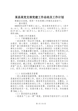 某县某党支部党建工作总结及工作计划