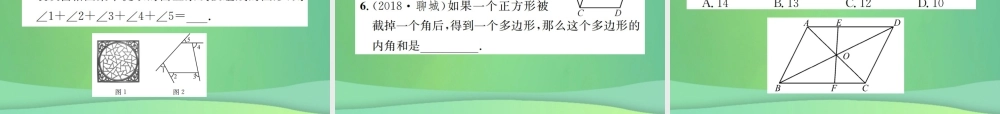 中考数学复习 第五单元 四边形 第平行四边形与多边形课件