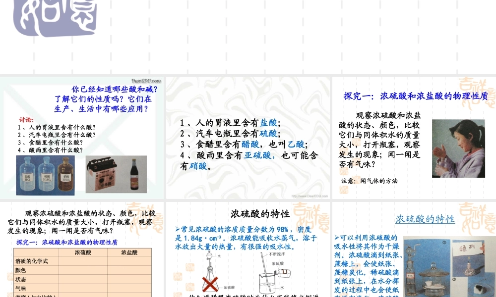 新课标初三化学常见的酸 课件