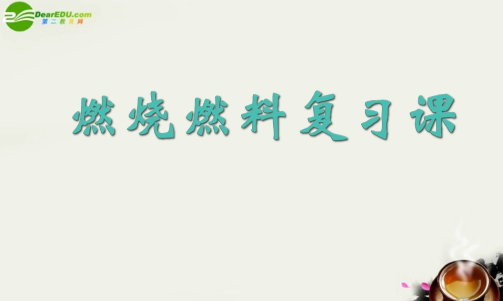 九年级政治 燃料复习课课件 沪教版 课件