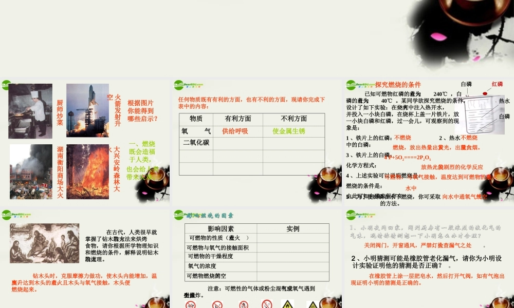 九年级政治 燃料复习课课件 沪教版 课件