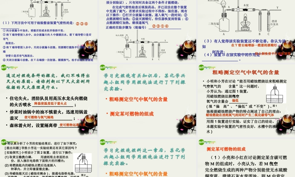 九年级政治 燃料复习课课件 沪教版 课件