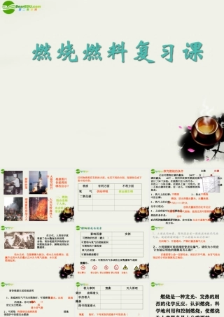 九年级政治 燃料复习课课件 沪教版 课件