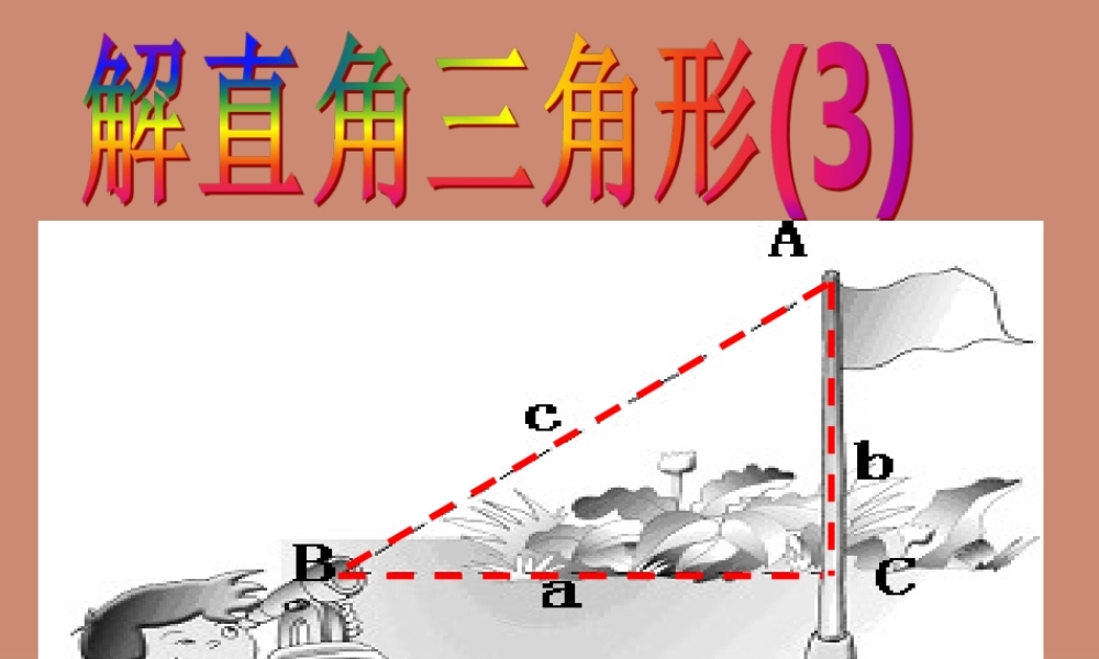 九年级数学下册 13 解直角三角形课件3 (新版)浙教版 课件