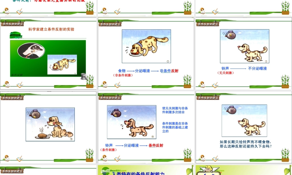 七年级生物非条件反射与条件反射课件人教版 课件