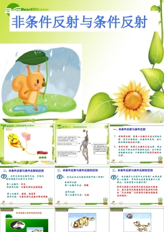 七年级生物非条件反射与条件反射课件人教版 课件