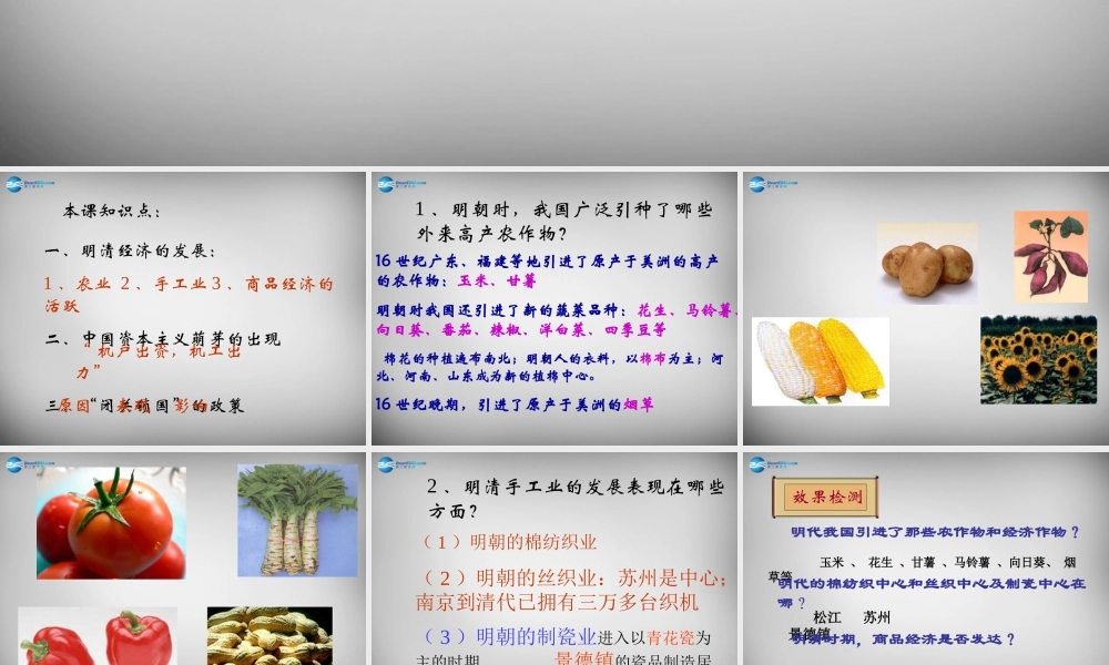 中学七年级历史下册 清经济的发展与 闭关锁国 课件 新人教版 课件