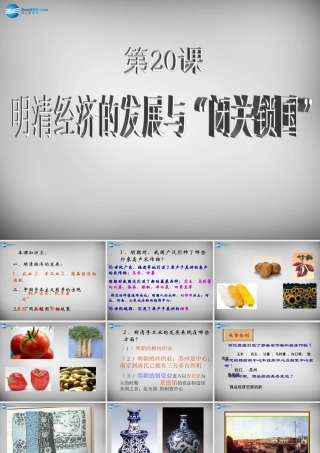 中学七年级历史下册 清经济的发展与 闭关锁国 课件 新人教版 课件