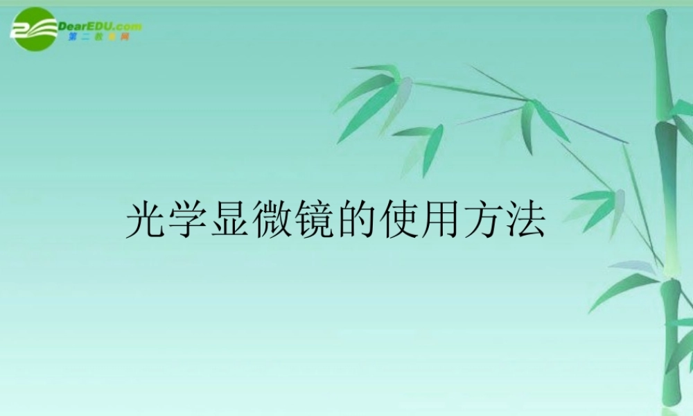 七年级生物上册 显微镜使用方法及构件特点课件 北师大版 课件